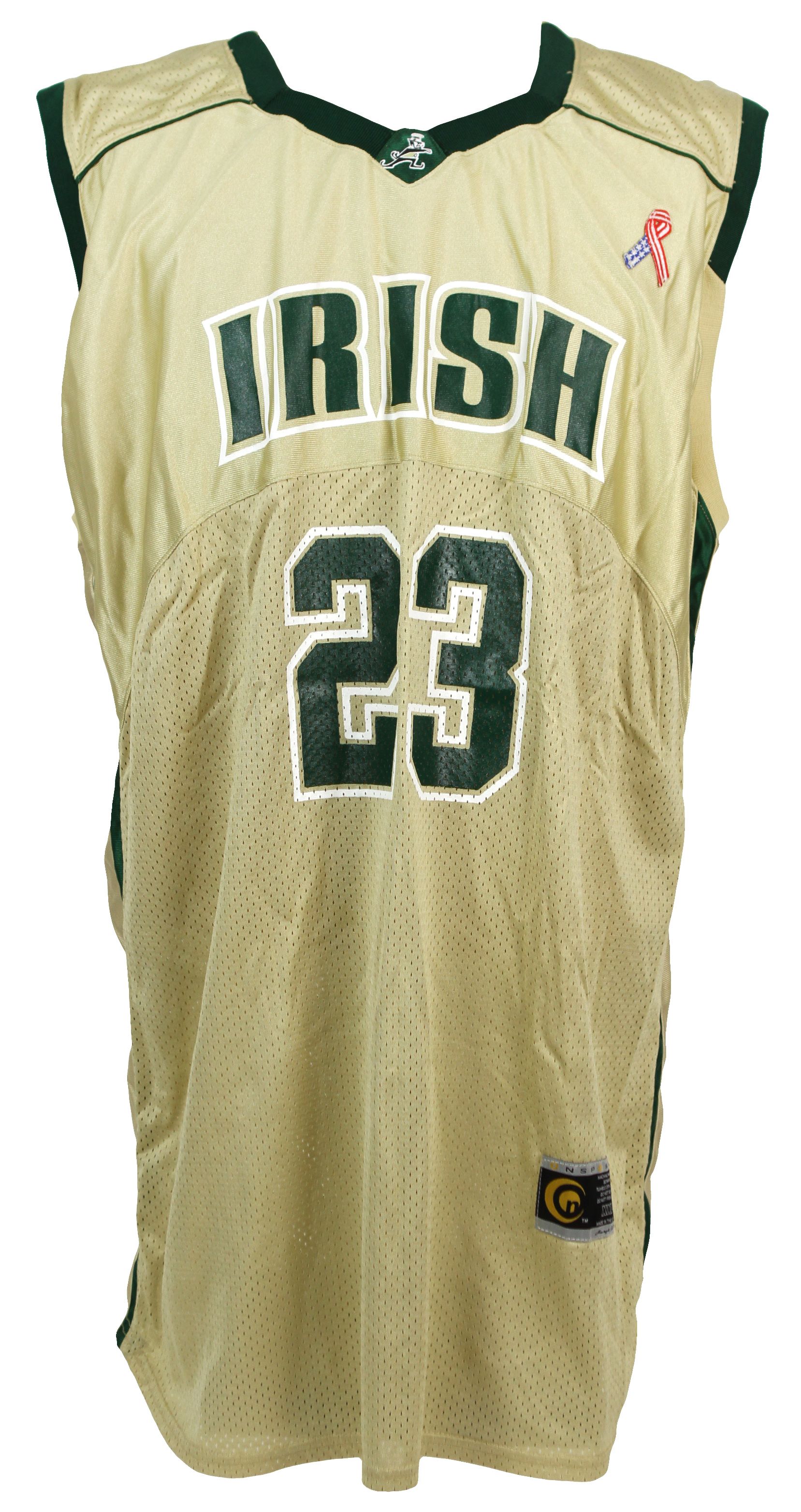 lebron james akron jersey