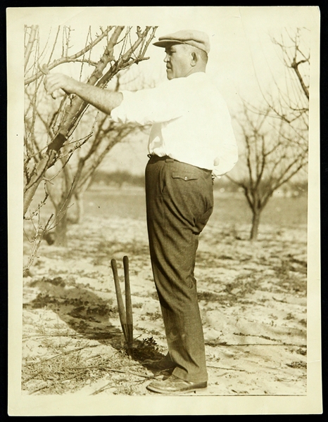1920s James Jeffries Farming 7"x 9" Photo 