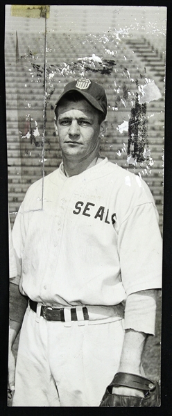 1946 Bob Chesnes San Francisco Seals Original 3"x 8" Photo 