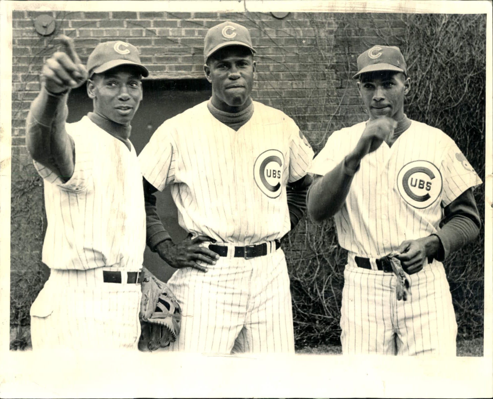 Portrait Of Chicago Cubs Ernie Banks by Bettmann
