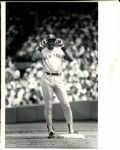 1986-92 Dave Winfield The Sporting News Collection Archives Original 8 x 10 Photo (Sporting News Collection Hologram/MEARS Photo LOA) - Lot of 15
