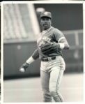 1986-92 Dave Winfield The Sporting News Collection Archives Original 8 x 10 Photo (Sporting News Collection Hologram/MEARS Photo LOA) - Lot of 15
