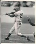 1964-76 Billy Williams Chicago Cubs and Oaklan Athletics TSN Collection Archives Original 8 x 10 Photo (Sporting News Collection Hologram/MEARS Photo LOA) - Lot of 10