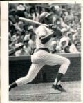 1964-76 Billy Williams Chicago Cubs and Oaklan Athletics TSN Collection Archives Original 8 x 10 Photo (Sporting News Collection Hologram/MEARS Photo LOA) - Lot of 10
