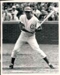 1964-76 Billy Williams Chicago Cubs and Oaklan Athletics TSN Collection Archives Original 8 x 10 Photo (Sporting News Collection Hologram/MEARS Photo LOA) - Lot of 10