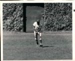 1968-87 Billy Williams Chicago Cubs and Oakland Athletics TSN Collection Archives Original 8 x 10 Photo (Sporting News Collection Hologram/MEARS Photo LOA) - Lot of 13