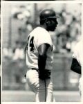 1968-79 Willie McCovey San Francisco Giants "The Sporting News Collection Archives" Original Photo (Sporting News Collection Hologram/MEARS Photo LOA) - Lot of 9