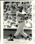 1986-93 Kirby Puckett Minnesota Twins The Sporting News Collection Archives Original 8 x 10 Photo (Sporting News Collection Hologram/MEARS Photo LOA) - Lot of 12