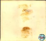 1965 Yogi Berra New York Mets St. Petersburg Times Archives Original 6.5 x 7.25 Photo (St. Petersburg Times Hologram/MEARS Photo LOA)