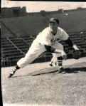1956 Jerry Casale San Francisco Seals PCL "The Sporting News Collection Archives" Original Photo (Sporting News Collection Hologram/MEARS Photo LOA)