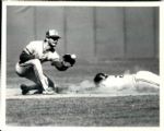 1985-95 Paul Molitor Milwaukee Brewers and Toronto Blue Jays The Sporting News Collection Archives Original Photo (Sporting News Collection Hologram/MEARS Photo LOA) - Lot of 12