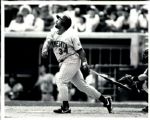 1984-95 Kirby Puckett Minnesota Twins The Sporting News Collection Archives Original Photo (Sporting News Collection Hologram/MEARS Photo LOA) - Lot of 13