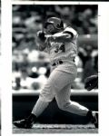 1984-95 Kirby Puckett Minnesota Twins The Sporting News Collection Archives Original Photo (Sporting News Collection Hologram/MEARS Photo LOA) - Lot of 13