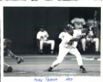 1984-95 Kirby Puckett Minnesota Twins The Sporting News Collection Archives Original Photo (Sporting News Collection Hologram/MEARS Photo LOA) - Lot of 12