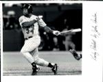 1984-95 Kirby Puckett Minnesota Twins The Sporting News Collection Archives Original Photo (Sporting News Collection Hologram/MEARS Photo LOA) - Lot of 12