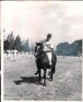 1954-76 circa Walter Alston Brooklyn / Los Angeles Dodgers The Sporting News Collection Archives Original Photo (Sporting News Collection Hologram/MEARS Photo LOA) - Lot of 7