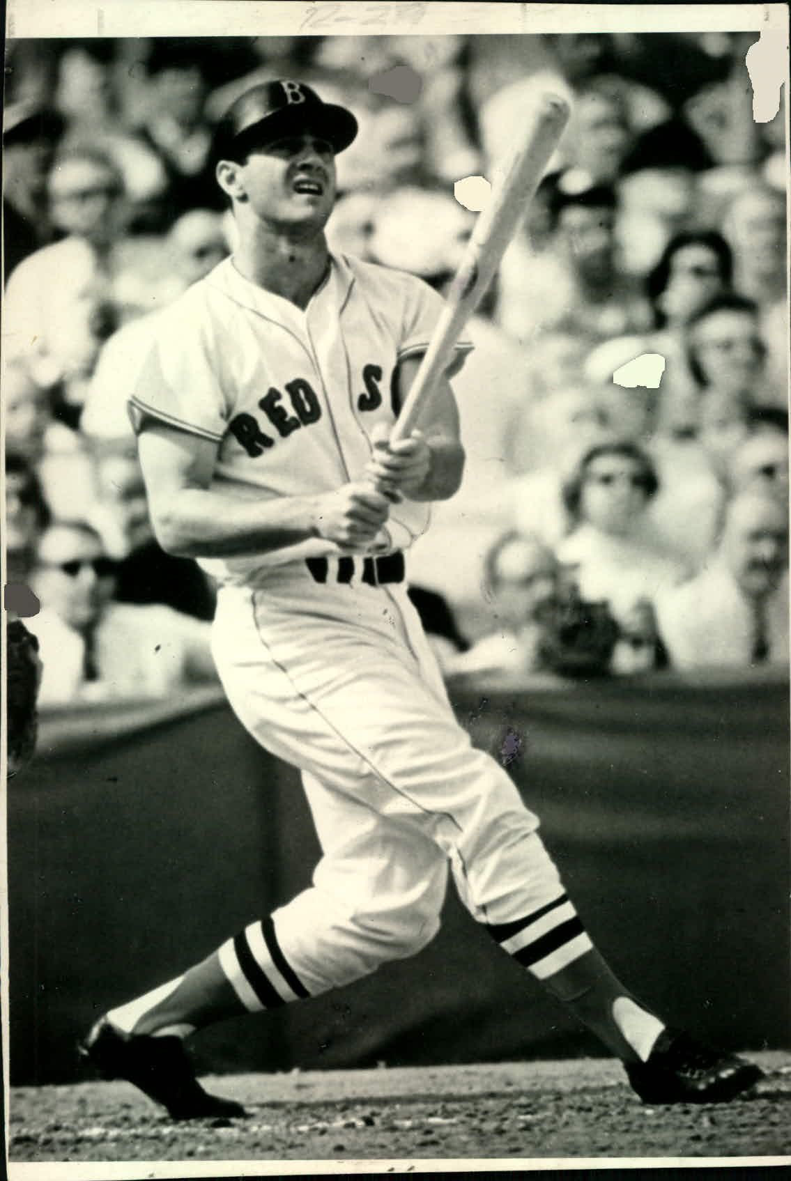 Men's Mitchell and Ness 1967 Boston Red Sox #8 Carl Yastrzemski