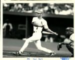 1981-93 Ozzie Smith St. Louis Cardinals San Diego Padres The Sporting News Collection Archives Original Photos (Sporting News Collection Hologram/MEARS Photo LOA) - Lot of 12