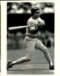 1981-93 Ozzie Smith St. Louis Cardinals San Diego Padres The Sporting News Collection Archives Original Photos (Sporting News Collection Hologram/MEARS Photo LOA) - Lot of 12