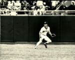 1979-92 Robin Yount Milwaukee Brewers The Sporting News Collection Archives Original 8 x 10 Photos (Sporting News Collection Hologram/MEARS Photo LOA) - Lot of 12