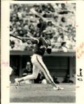 1981-90 Ozzie Smith St. Louis Cardinals San Diego Padres The Sporting News Collection Archives Original 8 x 10 Photos (Sporting News Collection Hologram/MEARS Photo LOA) - Lot of 12