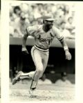 1981-90 Ozzie Smith St. Louis Cardinals San Diego Padres The Sporting News Collection Archives Original 8 x 10 Photos (Sporting News Collection Hologram/MEARS Photo LOA) - Lot of 12