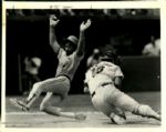 1981-90 Ozzie Smith St. Louis Cardinals San Diego Padres "The Sporting News Collection Archives" Original 8" x 10" Photos (Sporting News Collection Hologram/MEARS Photo LOA) - Lot of 12