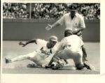 1981-90 Ozzie Smith St. Louis Cardinals San Diego Padres The Sporting News Collection Archives Original 8 x 10 Photos (Sporting News Collection Hologram/MEARS Photo LOA) - Lot of 12