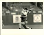 1970-86 Tom Seaver Cincinnati Reds Boston Red Sox The Sporting News Collection Archives Original 8 x 10 Photos (Sporting News Collection Hologram/MEARS Photo LOA) - Lot of 18