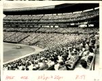 1961-76 Honolulu Pacific Coast League The Sporting News Collection Archives Original 8 x 10 Photo (Sporting News Collection Hologram/MEARS Photo LOA) - Lot of 11
