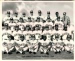 1961-76 Honolulu Pacific Coast League The Sporting News Collection Archives Original 8 x 10 Photo (Sporting News Collection Hologram/MEARS Photo LOA) - Lot of 11