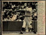 1970-76 Ted Williams Washington Senators Texas Rangers St. Petersburg Times Collection Archives Original Photos (St. Petersburg Times Hologram/MEARS Photo LOA) - Lot of 11