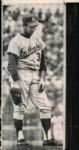 1964-72 Sandy Koufax Los Angeles Dodgers The Sporting News Collection Archives Original Photos (Sporting News Collection Hologram/MEARS Photo LOA) - Lot of 15