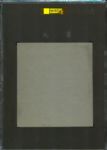 1935 Wheaties Giants Travis Jackson Series 1 SGC Authentic
