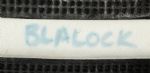 2002-2008 Hank Blalock Texas Rangers Used Shower Shoes