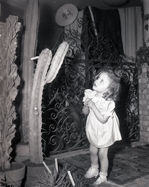1943 Marshall Fields Garden Show "Chicago Sun-Times" Original 4" x 5" B & W Negative (Chicago Sun-Times Archives/MEARS Photo LOA)