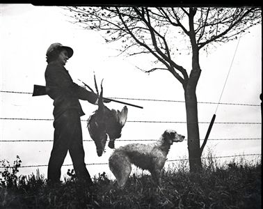 1942 A Hunter And His Dog "Chicago Sun-Times" Original 4" x 5" B & W Negatives (Chicago Sun-Times Archives/MEARS Photo LOA) - Lot of 2