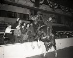 1944 Gene Autry Horse Show The Chicago Sun-Times Original 4 x 5 B & W Negatives (Chicago Sun-Times Hologram/MEARS Photo LOA) - Lot of 3