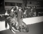 1944 Gene Autry Horse Show The Chicago Sun-Times Original 4 x 5 B & W Negatives (Chicago Sun-Times Hologram/MEARS Photo LOA) - Lot of 3
