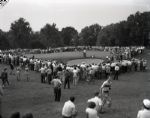 1951 Ben Hogan US Open The Chicago Sun-Times Original 4 x 5 B & W Negatives (Chicago Sun-Times Hologram/MEARS Photo LOA) - Lot of 2
