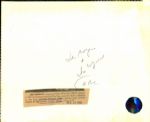1966 Joe Morgan and Jim Wynn The Sporting News Collection Archives Original 8 x 10 Photo (Sporting News Collection Hologram/MEARS Photo LOA)