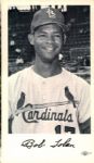 1967 St. Louis Cardinals Team Card Set