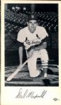 1967 St. Louis Cardinals Team Card Set