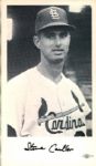 1967 St. Louis Cardinals Team Card Set