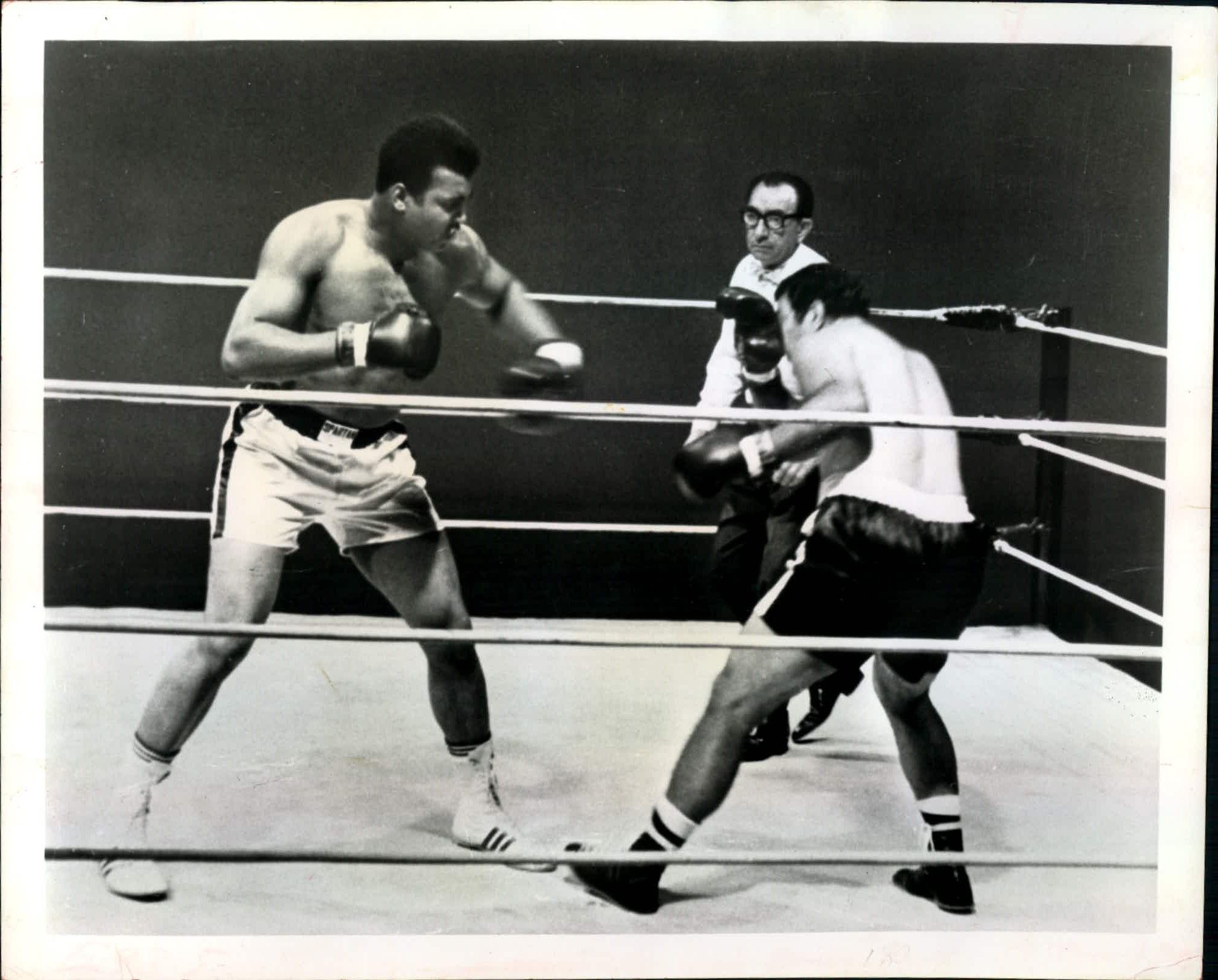 Lot Detail - 1970 Muhammad Ali vs. Rocky Marciano “St. Petersburg Times ...