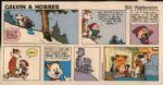 1983-93 Collection of Superman & Others DC Comics - Lot of 31 Incl. The Death of Superman Special 1985-90 Calvin & Hobbes Weekly & Sunday Paper Clippings Massive Lot
