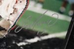 1990's Dan Marino Miami Dolphins Signed 12 x 15 Display (JSA)