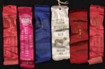 1914-16 Dog Show Ribbon Collection - Lot of 18