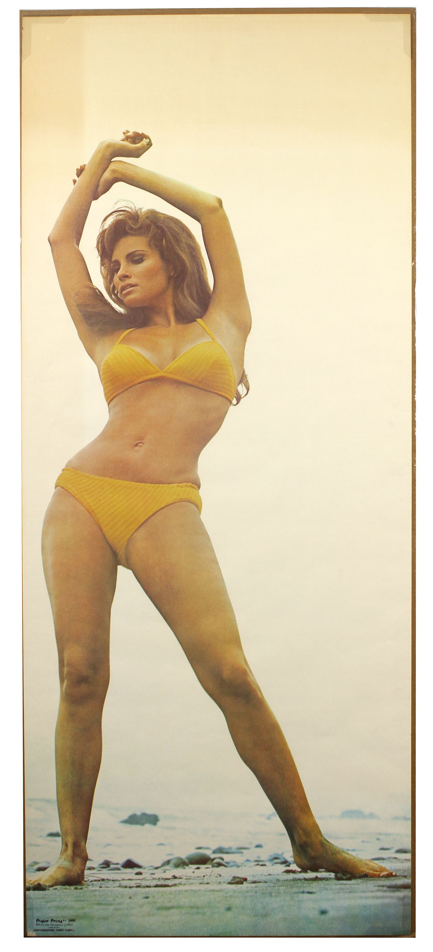 Lot Detail - 1971 Raquel Welch Yellow Bikini Original 24