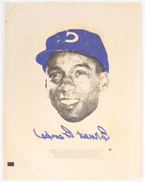 1953-1971 Ernie Banks Chicago Cubs 9" x 11.5" Decal 